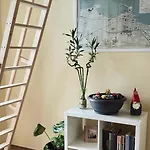 Apartment Lotus Bari