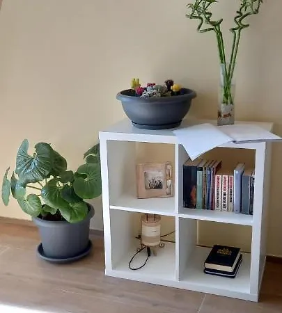 Apartamento Lotus *
