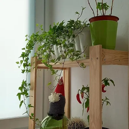 Lotus Apartamento